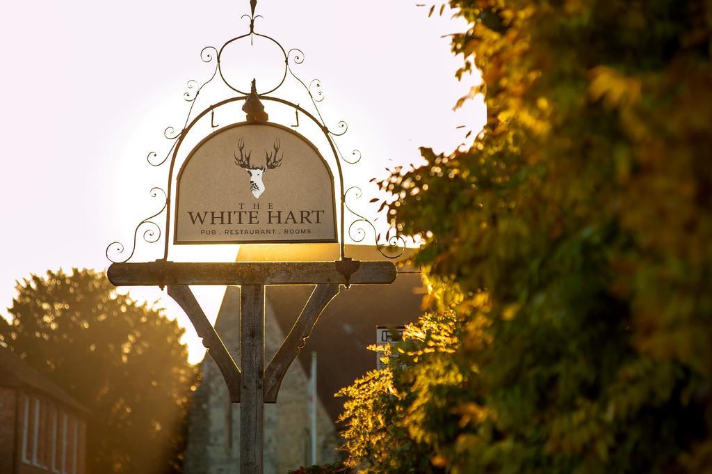 The White Hart, South Harting Hotel Petersfield Exterior foto